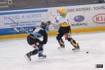 Photo hockey match Tours  - Strasbourg II le 01/12/2012