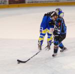 Photo hockey match Tours  - Toulon le 14/01/2012