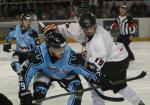 Photo hockey match Tours  - Toulouse-Blagnac le 12/04/2014