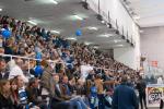 Photo hockey match Tours  - Toulouse-Blagnac le 12/04/2014