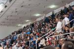 Photo hockey match Tours  - Toulouse-Blagnac le 12/04/2014