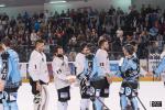 Photo hockey match Tours  - Toulouse-Blagnac le 12/04/2014