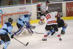 Photo hockey match Tours  - Toulouse-Blagnac le 25/10/2014