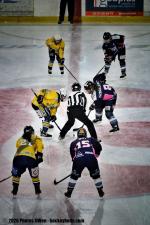 Photo hockey match Tours / F�minine - Evry / Viry  - F�minin le 28/02/2026