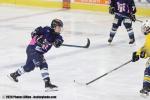 Photo hockey match Tours / F�minine - Evry / Viry  - F�minin le 28/02/2026