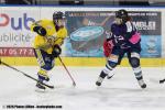 Photo hockey match Tours / F�minine - Evry / Viry  - F�minin le 28/02/2026