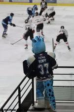 Photo hockey match Tours II - Poitiers le 04/10/2025