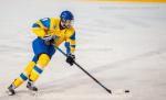 Photo hockey match Ukraine - France le 14/04/2019