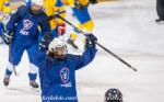 Photo hockey match Ukraine - France le 14/04/2019