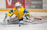 Photo hockey match Ukraine - France le 14/04/2019