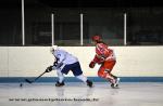 Photo hockey match Valence - Montpellier  le 15/01/2011