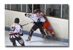Photo hockey match Valence - Mulhouse le 06/03/2010