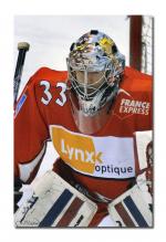 Photo hockey match Valence - Mulhouse le 06/03/2010