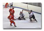 Photo hockey match Valence - Mulhouse le 06/03/2010