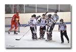 Photo hockey match Valence - Mulhouse le 06/03/2010