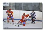 Photo hockey match Valence - Mulhouse le 06/03/2010