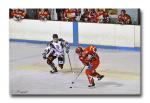 Photo hockey match Valence - Mulhouse le 06/03/2010