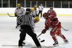 Photo hockey match Valence - Strasbourg II le 16/02/2013
