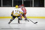 Photo hockey match Valence - Strasbourg II le 16/02/2013