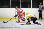 Photo hockey match Valence - Strasbourg II le 16/02/2013