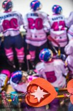 Photo hockey match Villard-de-Lans - Avignon le 11/02/2017