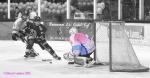 Photo hockey match Villard-de-Lans - Chamonix  le 04/01/2014
