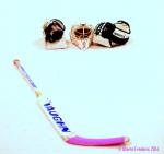 Photo hockey match Villard-de-Lans - Chamonix  le 04/01/2014