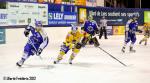 Photo hockey match Villard-de-Lans - Dijon  le 19/02/2012