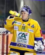 Photo hockey match Villard-de-Lans - Dijon  le 15/01/2013