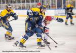 Photo hockey match Villard-de-Lans - Lyon le 31/03/2024