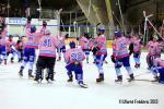 Photo hockey match Villard-de-Lans - Mulhouse le 15/02/2013