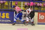 Photo hockey match Villard-de-Lans - Mulhouse le 15/02/2013