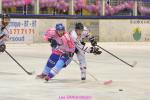Photo hockey match Villard-de-Lans - Mulhouse le 15/02/2013