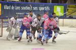 Photo hockey match Villard-de-Lans - Mulhouse le 15/02/2013