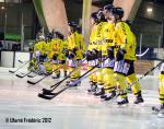 Photo hockey match Villard-de-Lans - Rouen le 19/12/2012