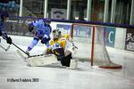 Photo hockey match Villard-de-Lans - Strasbourg  le 29/11/2013