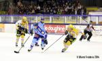 Photo hockey match Villard-de-Lans - Strasbourg  le 18/02/2014