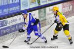 Photo hockey match Villard-de-Lans - Strasbourg  le 22/12/2010