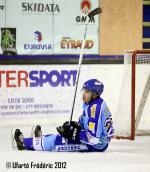 Photo hockey match Villard-de-Lans - Strasbourg  le 06/10/2012