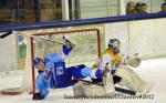 Photo hockey match Villard-de-Lans - Strasbourg  le 20/11/2012