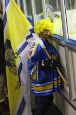 Photo hockey match Wasquehal Lille - Clermont-Ferrand le 14/01/2012