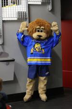 Photo hockey match Wasquehal Lille - Clermont-Ferrand le 14/01/2012