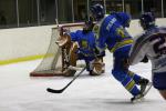 Photo hockey match Wasquehal Lille - Clermont-Ferrand le 14/01/2012