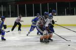 Photo hockey match Wasquehal Lille - Clermont-Ferrand le 14/01/2012