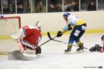 Photo hockey match Wasquehal Lille - Limoges le 05/12/2015