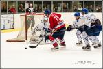 Photo hockey match Wasquehal Lille - Paris (FV) le 13/02/2016