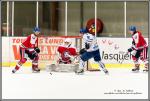 Photo hockey match Wasquehal Lille - Paris (FV) le 13/02/2016