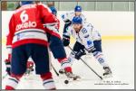 Photo hockey match Wasquehal Lille - Paris (FV) le 13/02/2016