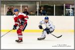 Photo hockey match Wasquehal Lille - Paris (FV) le 13/02/2016