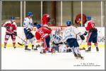 Photo hockey match Wasquehal Lille - Paris (FV) le 13/02/2016